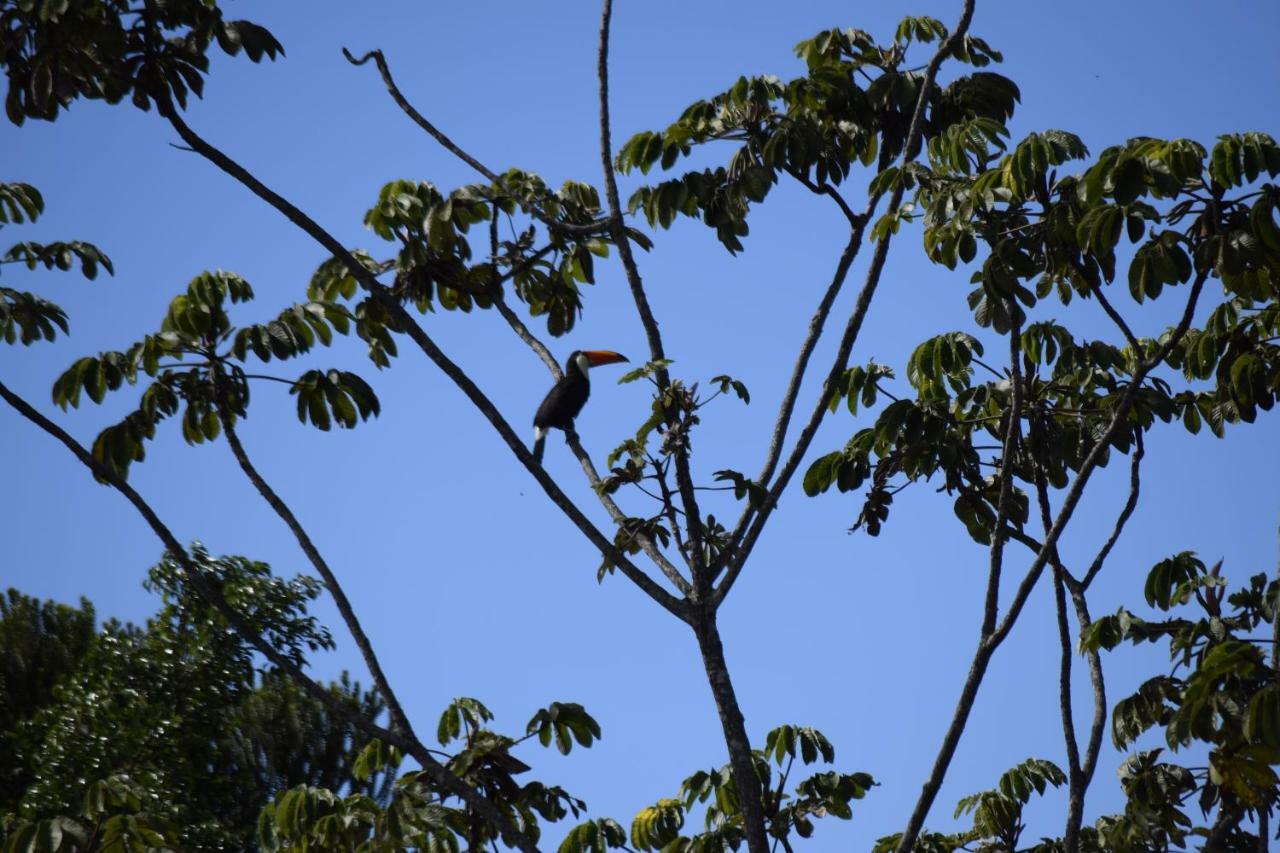 Vila Dos Cristais Leilighet Alto Paraíso de Goiás Eksteriør bilde