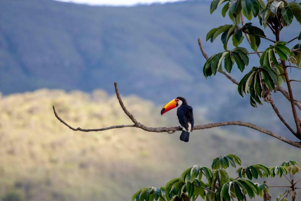 Vila Dos Cristais Alto Paraíso de Goiás Eksteriør bilde