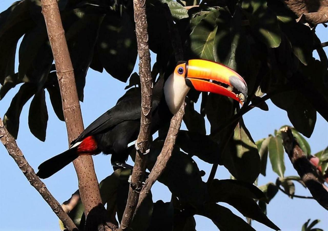 Vila Dos Cristais Leilighet Alto Paraíso de Goiás Eksteriør bilde